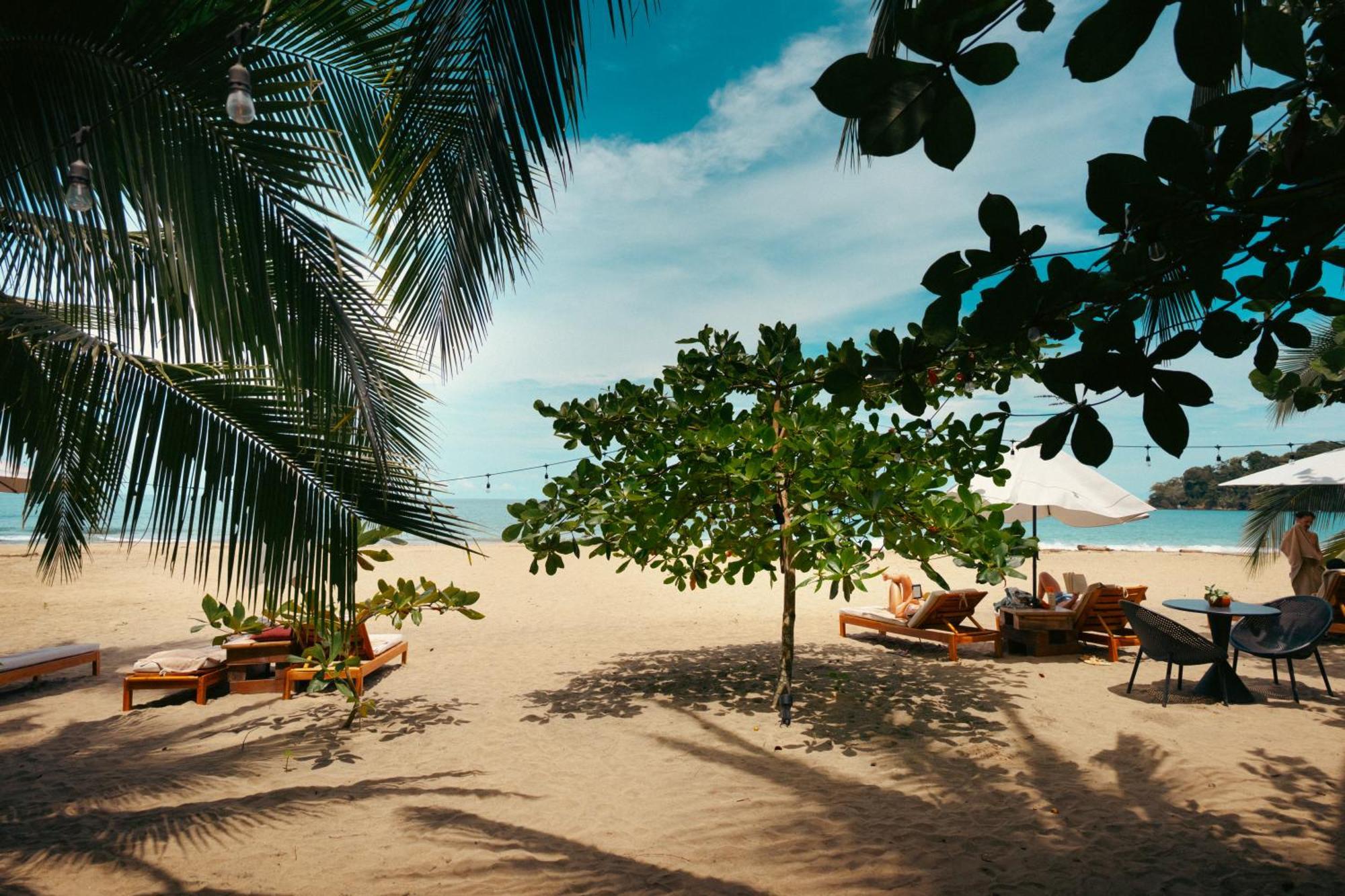Awa Beach Hotel Puerto Viejo de Talamanca المظهر الخارجي الصورة