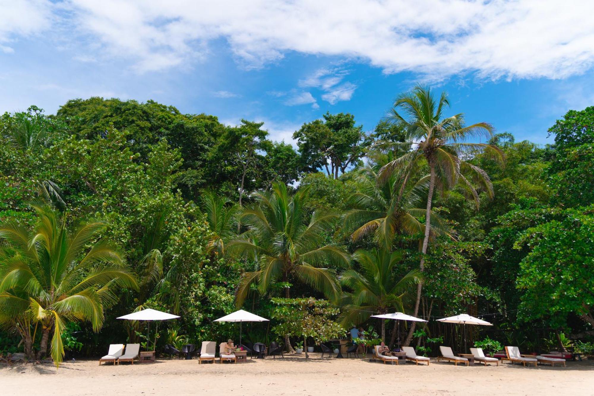 Awa Beach Hotel Puerto Viejo de Talamanca المظهر الخارجي الصورة