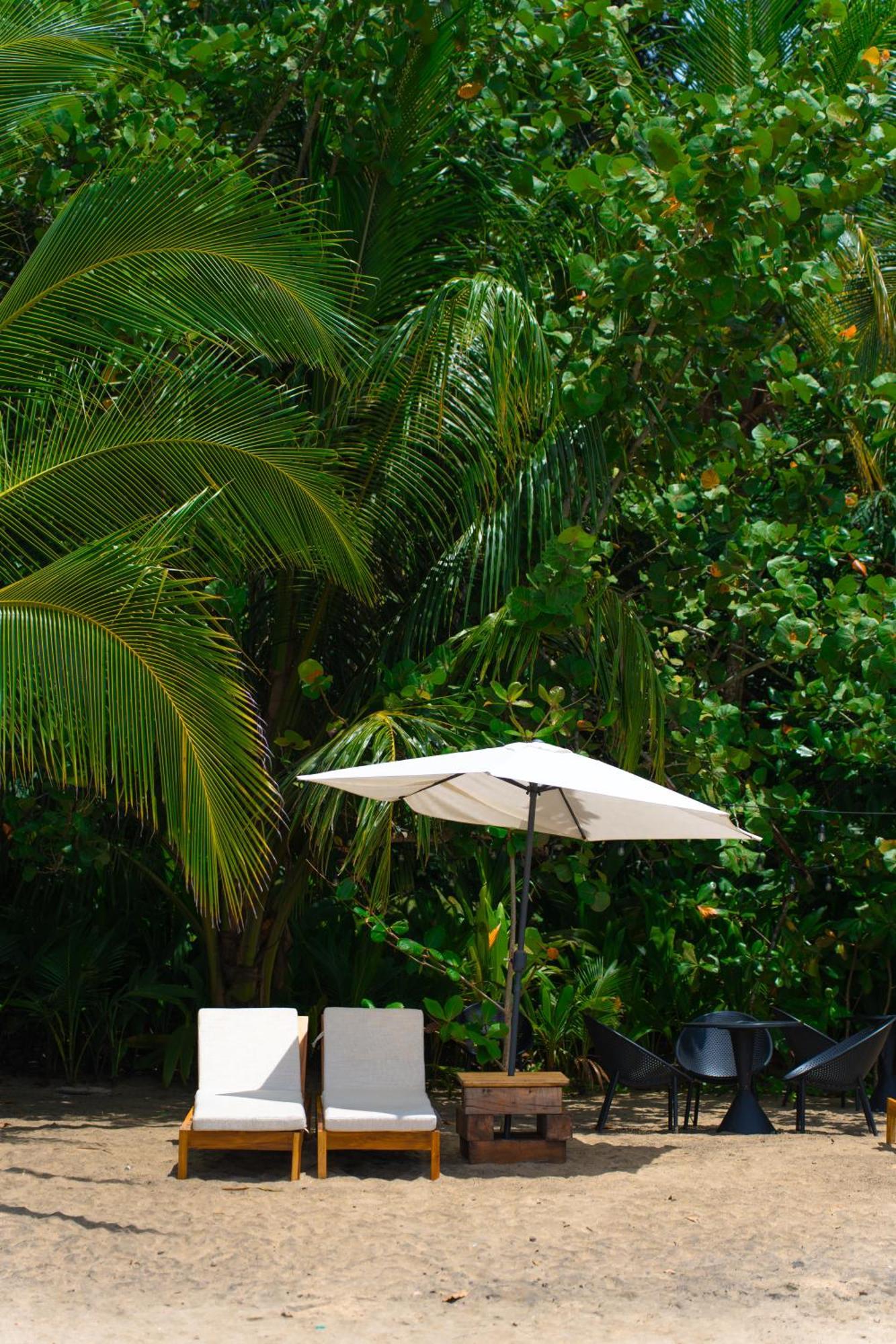 Awa Beach Hotel Puerto Viejo de Talamanca المظهر الخارجي الصورة