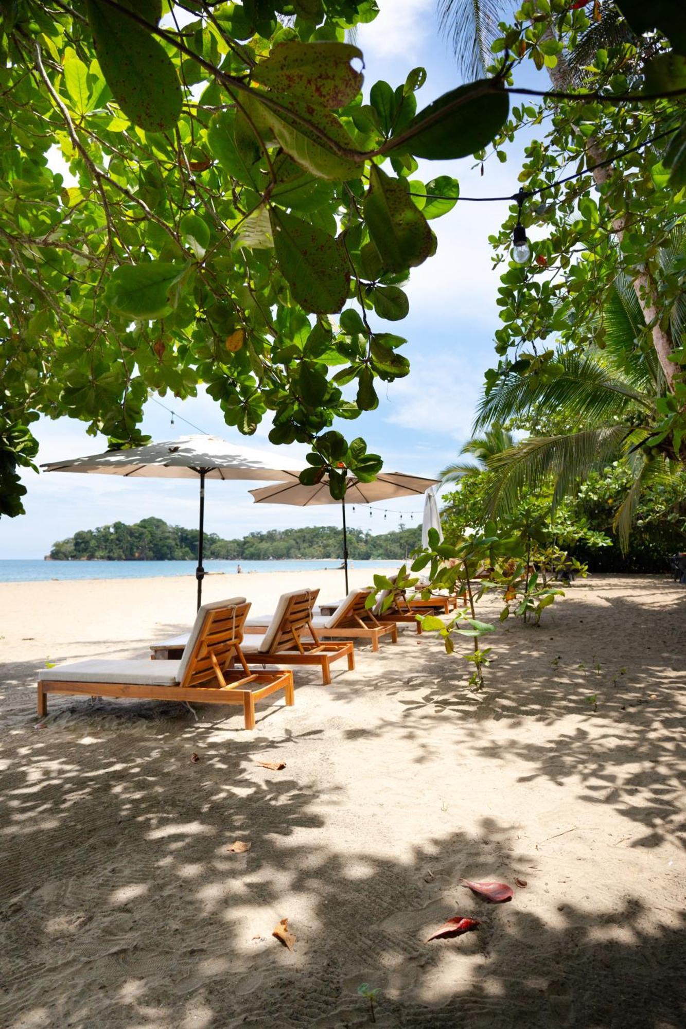 Awa Beach Hotel Puerto Viejo de Talamanca المظهر الخارجي الصورة