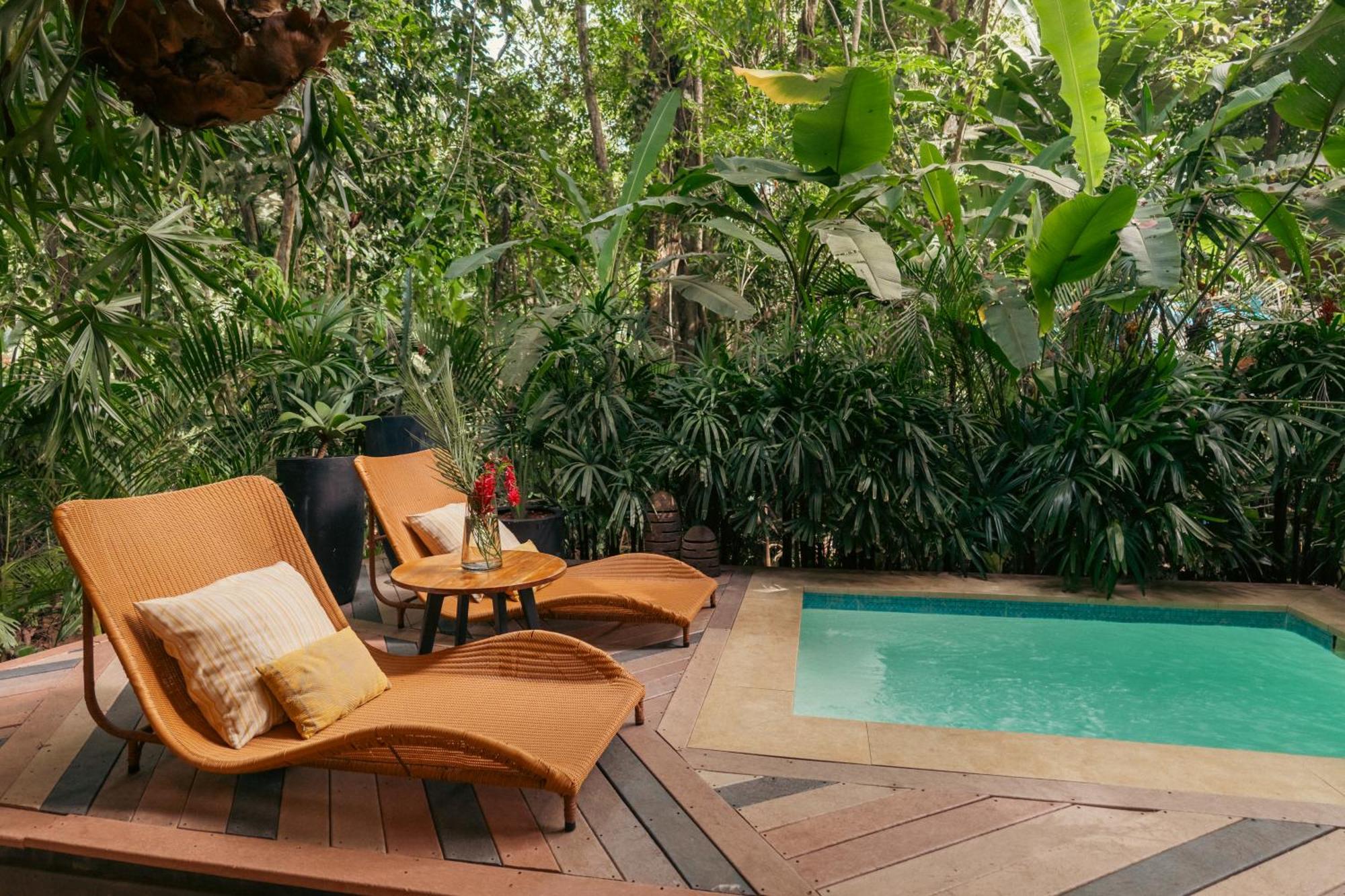 Awa Beach Hotel Puerto Viejo de Talamanca المظهر الخارجي الصورة